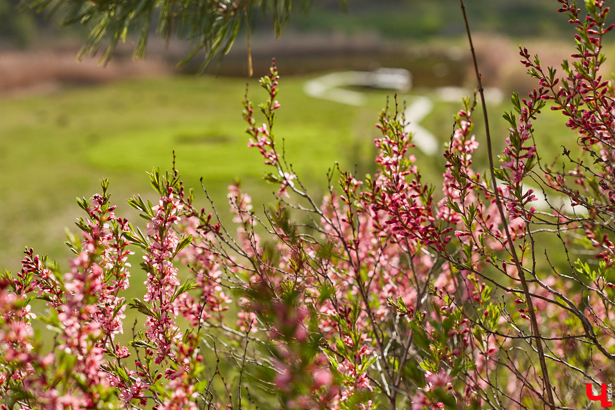 Мы уже знакомили вас с известным на всю Россию отельером, ресторатором и автором кулинарных книг Еленой Маньенан. Уже 2,5 года она живет в селе Улово после продажи легендарной гостиницы «Частный визит» в Плёсе. Многое из нее перекочевало в суздальский дом, который приобрел формат арт-пространства. Чего там только нет! И каждую деталь нашему изданию удалось рассмотреть в мельчайших подробностях.