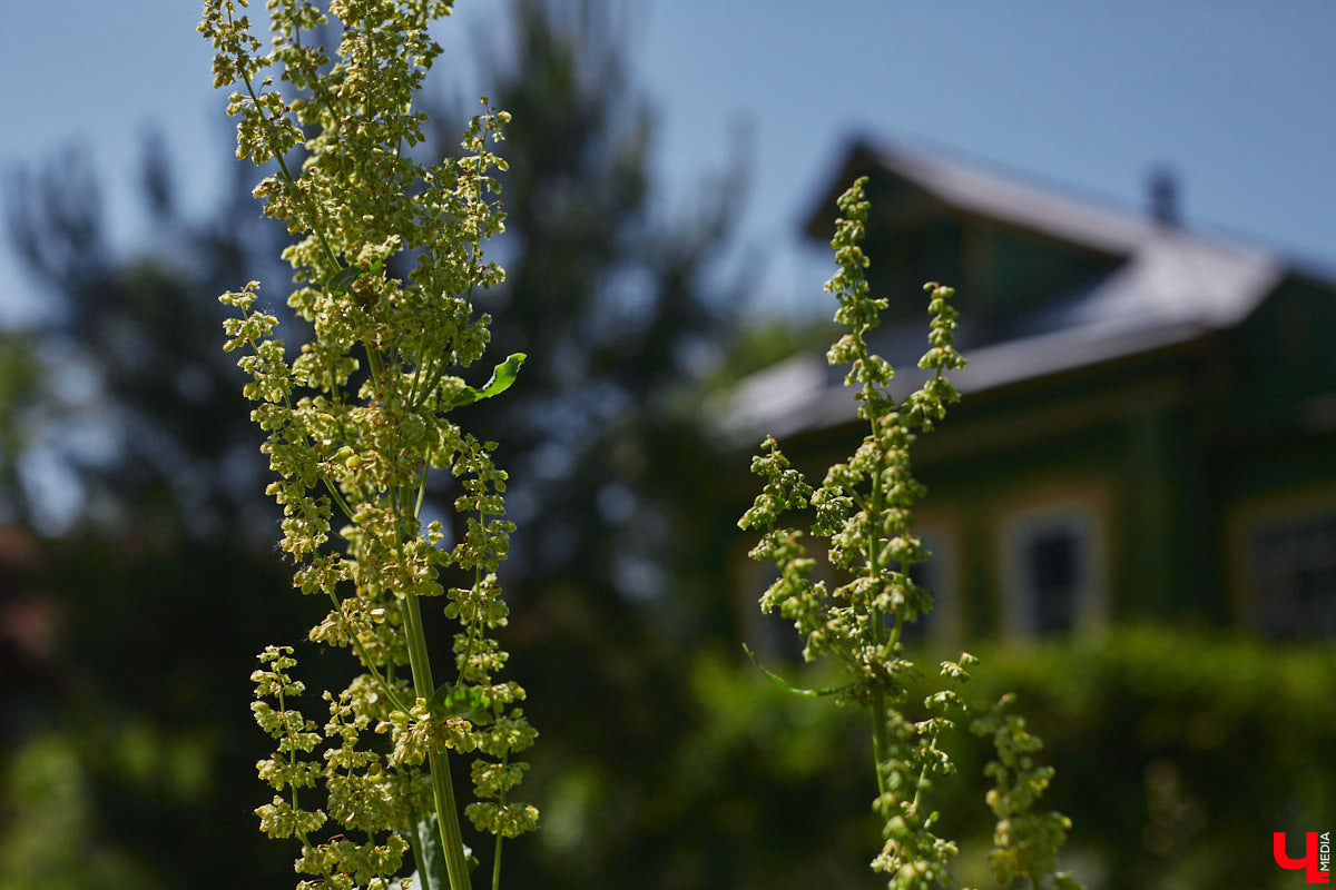 Какая деревня станет самой красивой в этом году? Прием заявок на конкурс уже завершен, а потому определен и список претендентов на этот титул. За победу поборются 75 населенных пунктов, в которых проживают до 3500 человек. Предлагаем ознакомиться с полным перечнем всех участников.