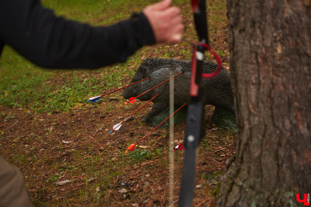 Владимирцы занимаются необычной охотой с     приставкой «эко». Вместо настоящих кабанов и     сусликов они целятся в     мишени     — объемные фигуры диких зверей. И     не     ради забавы. 3D-стрельба из     лука     — официальный вид спорта, который набирает популярность в     том числе среди жителей нашего города. «Ключ-Медиа» побывал на     тренировке и     увидел все своими глазами.