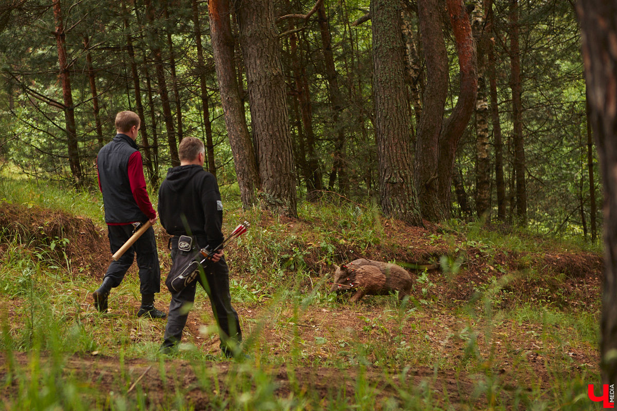 Владимирцы занимаются необычной охотой с     приставкой «эко». Вместо настоящих кабанов и     сусликов они целятся в     мишени     — объемные фигуры диких зверей. И     не     ради забавы. 3D-стрельба из     лука     — официальный вид спорта, который набирает популярность в     том числе среди жителей нашего города. «Ключ-Медиа» побывал на     тренировке и     увидел все своими глазами.