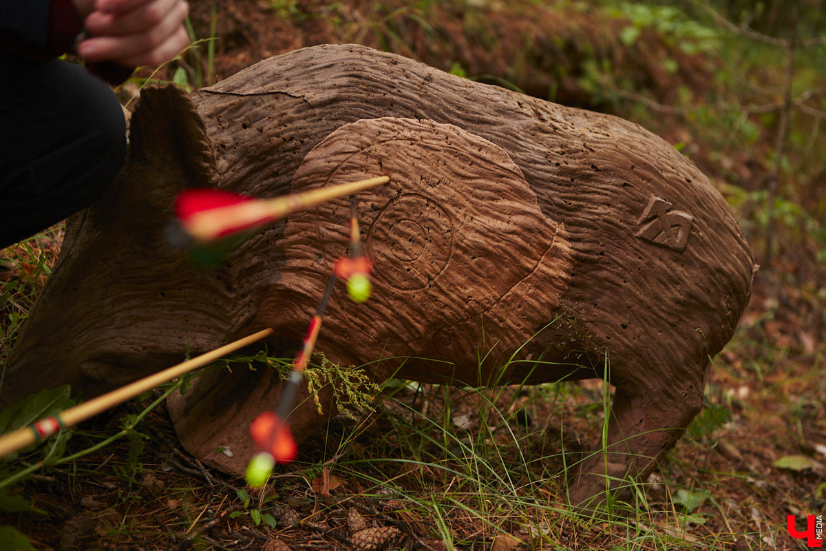 Владимирцы занимаются необычной охотой с     приставкой «эко». Вместо настоящих кабанов и     сусликов они целятся в     мишени     — объемные фигуры диких зверей. И     не     ради забавы. 3D-стрельба из     лука     — официальный вид спорта, который набирает популярность в     том числе среди жителей нашего города. «Ключ-Медиа» побывал на     тренировке и     увидел все своими глазами.
