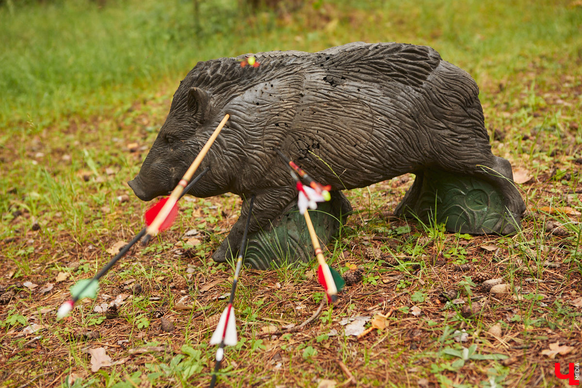 Владимирцы занимаются необычной охотой с     приставкой «эко». Вместо настоящих кабанов и     сусликов они целятся в     мишени     — объемные фигуры диких зверей. И     не     ради забавы. 3D-стрельба из     лука     — официальный вид спорта, который набирает популярность в     том числе среди жителей нашего города. «Ключ-Медиа» побывал на     тренировке и     увидел все своими глазами.