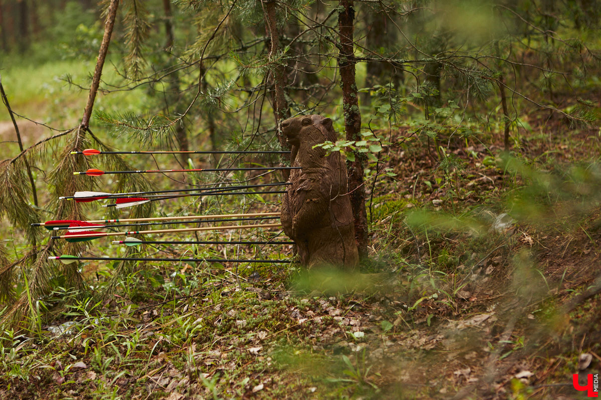Владимирцы занимаются необычной охотой с     приставкой «эко». Вместо настоящих кабанов и     сусликов они целятся в     мишени     — объемные фигуры диких зверей. И     не     ради забавы. 3D-стрельба из     лука     — официальный вид спорта, который набирает популярность в     том числе среди жителей нашего города. «Ключ-Медиа» побывал на     тренировке и     увидел все своими глазами.