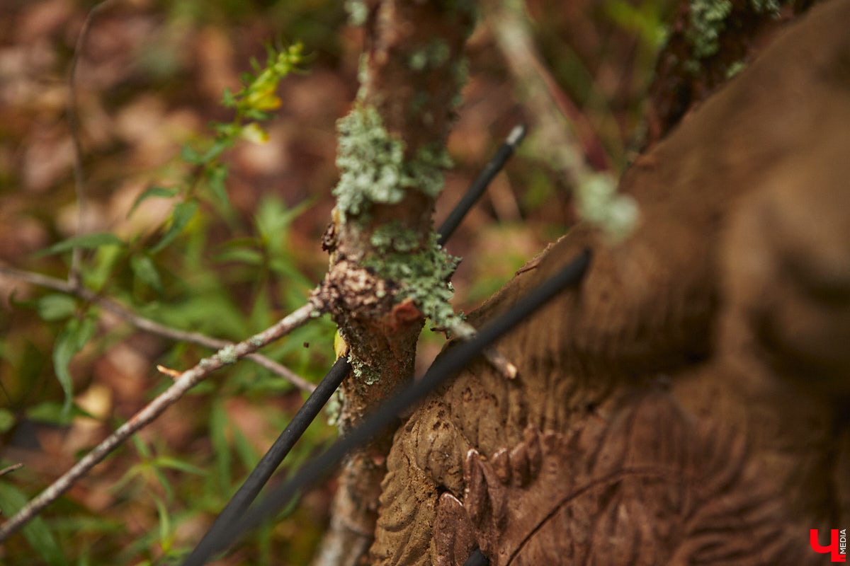 Владимирцы занимаются необычной охотой с     приставкой «эко». Вместо настоящих кабанов и     сусликов они целятся в     мишени     — объемные фигуры диких зверей. И     не     ради забавы. 3D-стрельба из     лука     — официальный вид спорта, который набирает популярность в     том числе среди жителей нашего города. «Ключ-Медиа» побывал на     тренировке и     увидел все своими глазами.