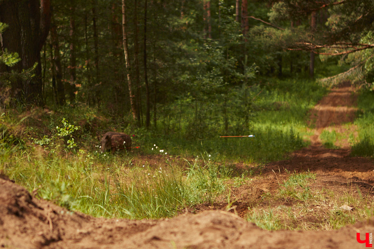 Владимирцы занимаются необычной охотой с     приставкой «эко». Вместо настоящих кабанов и     сусликов они целятся в     мишени     — объемные фигуры диких зверей. И     не     ради забавы. 3D-стрельба из     лука     — официальный вид спорта, который набирает популярность в     том числе среди жителей нашего города. «Ключ-Медиа» побывал на     тренировке и     увидел все своими глазами.