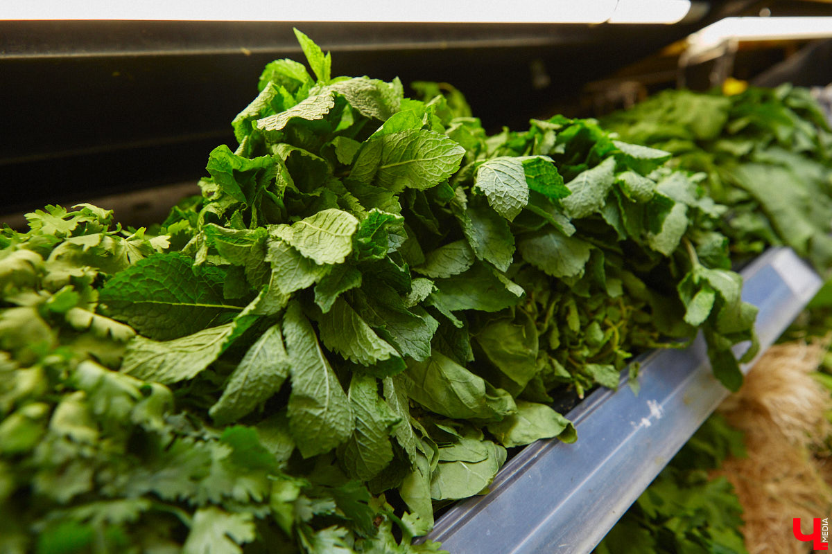 Владимирский реставратор, как опытный ресторатор, исследовала влияние цвета ингредиентов на вкус приготовленной еды и выяснила, какое блюдо можно назвать лидером летней красочной палитры.