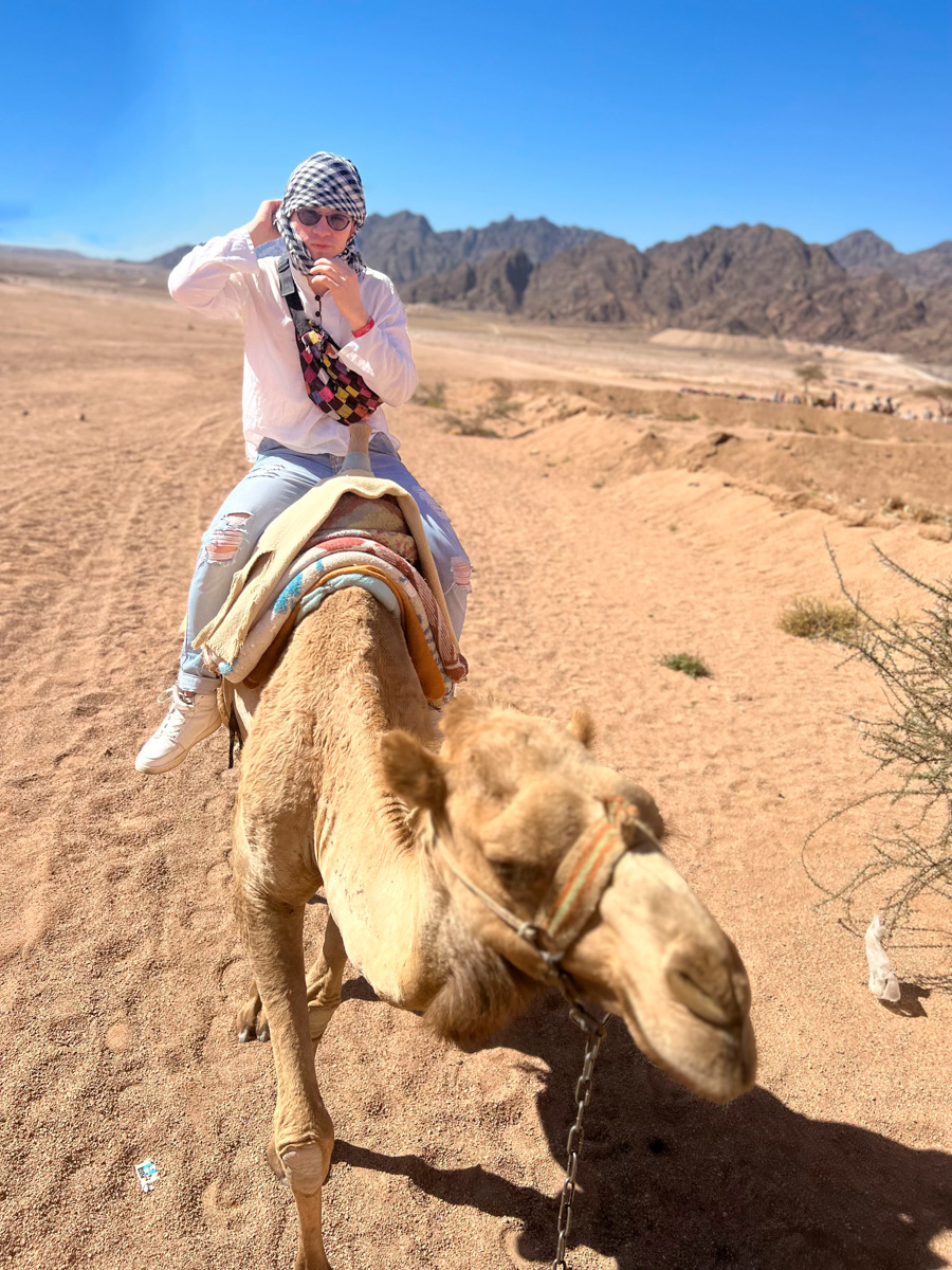 С какого-то момента один из самых медийных владимирских юристов молодого поколения Роман Ардыкуца пропал с радаров. Впрочем, из его соцсетей быстро стало понятно: отныне он путешественник. Сегодня Роман вновь занимается юридической практикой, но продолжает познавать планету, покоряя горные вершины, участвуя в спортивных сплавах, походах и путешествуя пешком по максимально необычным маршрутам.