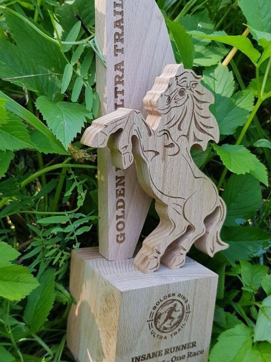 В девятый раз участники Golden Ring Ultra Trail пробежали по живописным местам Суздаля. В конце июля пять тысяч спортсменов вышли на старт самых разных дистанций — от 5 до 100 км, а также ночных и экстремальных забегов. Открывал марафон новый трейл «Suvorov Extreme 30К», победа в котором досталась Алексею Лукашину из Владимира. И это несмотря на то что на молодого человека напали пчелы!