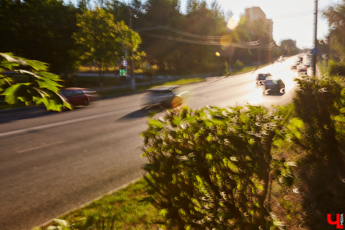 Синоптики уверяют: июль в 33-м регионе наконец-то включит летний режим! Даже не верится, правда? Есть ли тут подвох? Разумеется. Во-первых, жаркий период окажется недолгим, а во-вторых, к нему будет прилагаться еще кое-что малоприятное.
