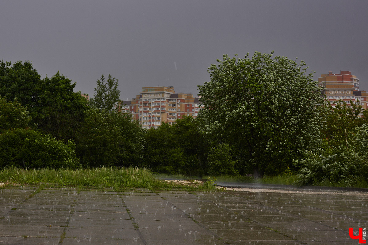 Синоптики уверяют: июль в 33-м регионе наконец-то включит летний режим! Даже не верится, правда? Есть ли тут подвох? Разумеется. Во-первых, жаркий период окажется недолгим, а во-вторых, к нему будет прилагаться еще кое-что малоприятное.