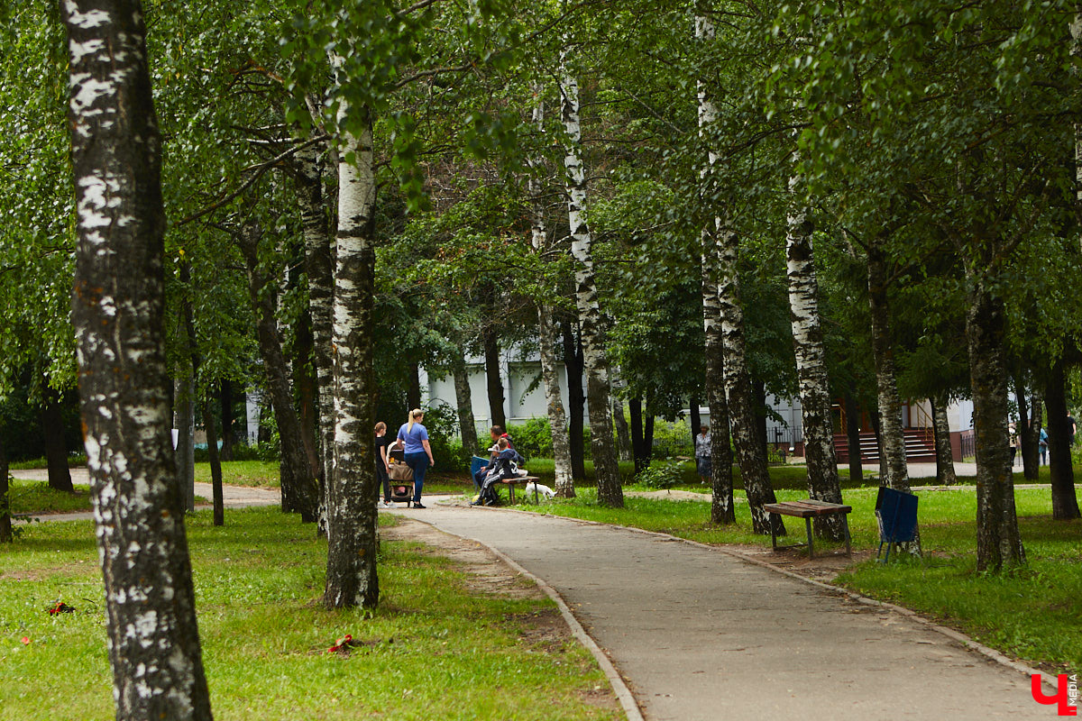 Бульвар Художника Иванова таит в себе много загадок. Это не просто широкая аллея, а большая территория в Ленинском районе, расположенная от «Пекинки» до площади Адмирала Лазарева. Тут бульвар и улица в одном лице. Причем улица без домов. Главное ее назначение — осуществление естественной вентиляции города.