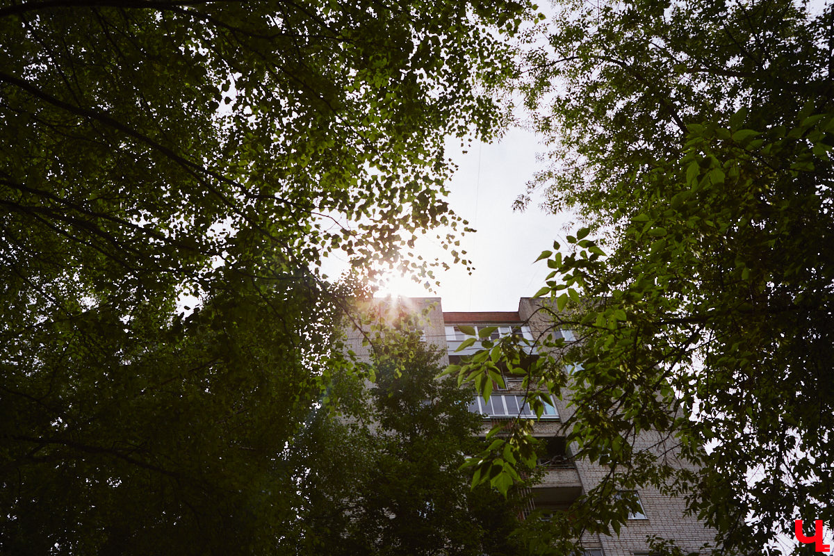 Бульвар Художника Иванова таит в себе много загадок. Это не просто широкая аллея, а большая территория в Ленинском районе, расположенная от «Пекинки» до площади Адмирала Лазарева. Тут бульвар и улица в одном лице. Причем улица без домов. Главное ее назначение — осуществление естественной вентиляции города.