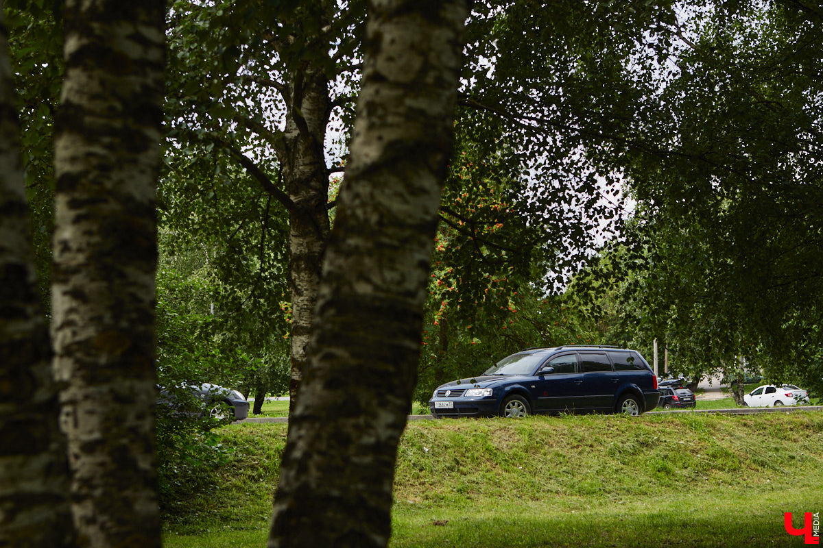 Бульвар Художника Иванова таит в себе много загадок. Это не просто широкая аллея, а большая территория в Ленинском районе, расположенная от «Пекинки» до площади Адмирала Лазарева. Тут бульвар и улица в одном лице. Причем улица без домов. Главное ее назначение — осуществление естественной вентиляции города.