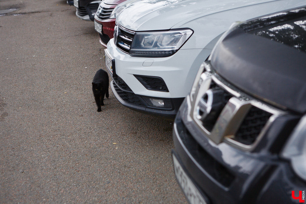 Во Владимире хотят создать почти 900 платных парковочных мест. А как у нас обстоят дела с бесплатными? Найти стоянку в центре — задача не из простых. Но если постараться, то вполне реально. «Ключ-Медиа» задался этой целью и готов поделиться с вами, где сейчас можно оставить автомобиль, не заплатив ни рубля.