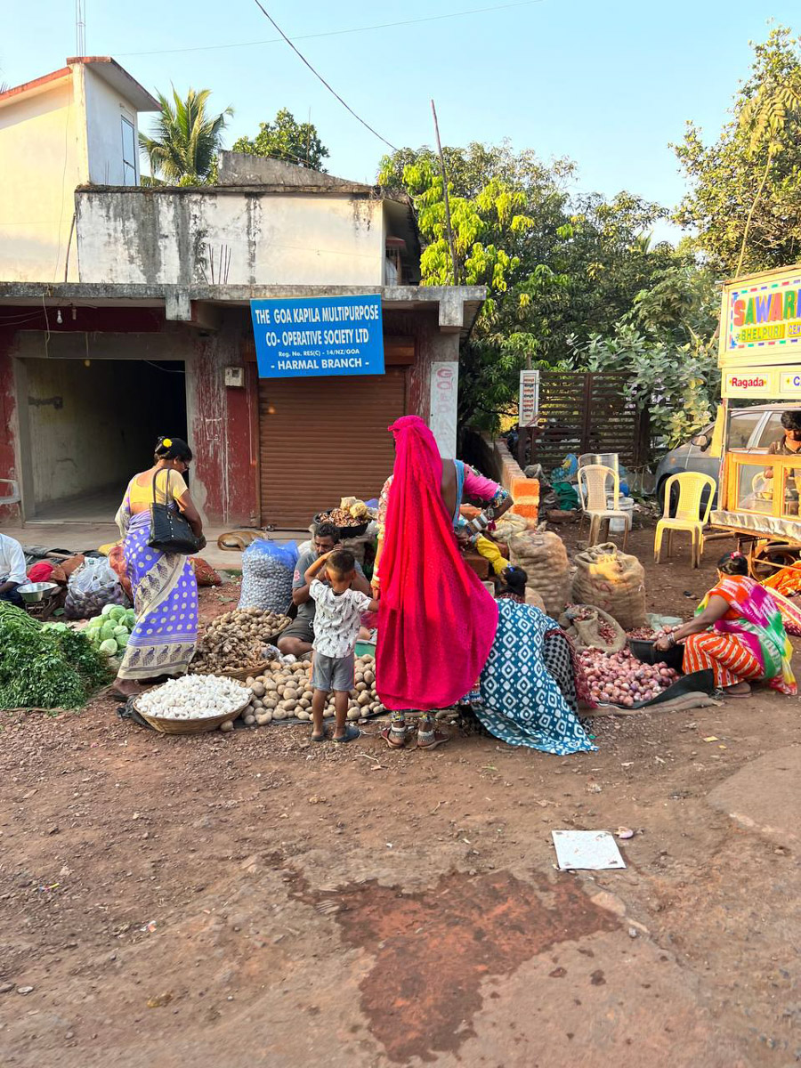 При мысли об экзотическом курорте на ум чаще всего приходят два популярных направления — Гоа и Бали. Сразу представляется райский уголок из одной известной рекламы. Но настолько ли там хорошо, как нам показывают? Специально для «Ключ-Медиа» владимирский видеограф Влада Соболь сравнила обе локации и поведала нам, где же на самом деле лучше.