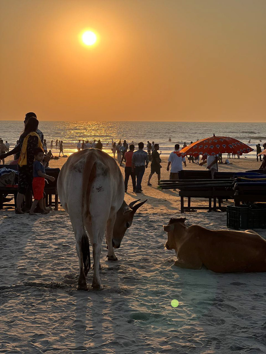 При мысли об экзотическом курорте на ум чаще всего приходят два популярных направления — Гоа и Бали. Сразу представляется райский уголок из одной известной рекламы. Но настолько ли там хорошо, как нам показывают? Специально для «Ключ-Медиа» владимирский видеограф Влада Соболь сравнила обе локации и поведала нам, где же на самом деле лучше.