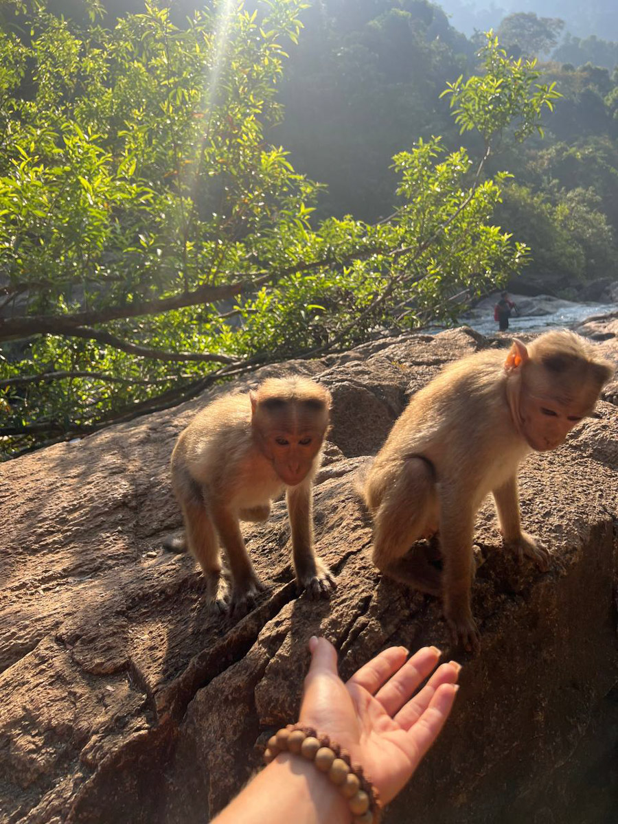 При мысли об экзотическом курорте на ум чаще всего приходят два популярных направления — Гоа и Бали. Сразу представляется райский уголок из одной известной рекламы. Но настолько ли там хорошо, как нам показывают? Специально для «Ключ-Медиа» владимирский видеограф Влада Соболь сравнила обе локации и поведала нам, где же на самом деле лучше.