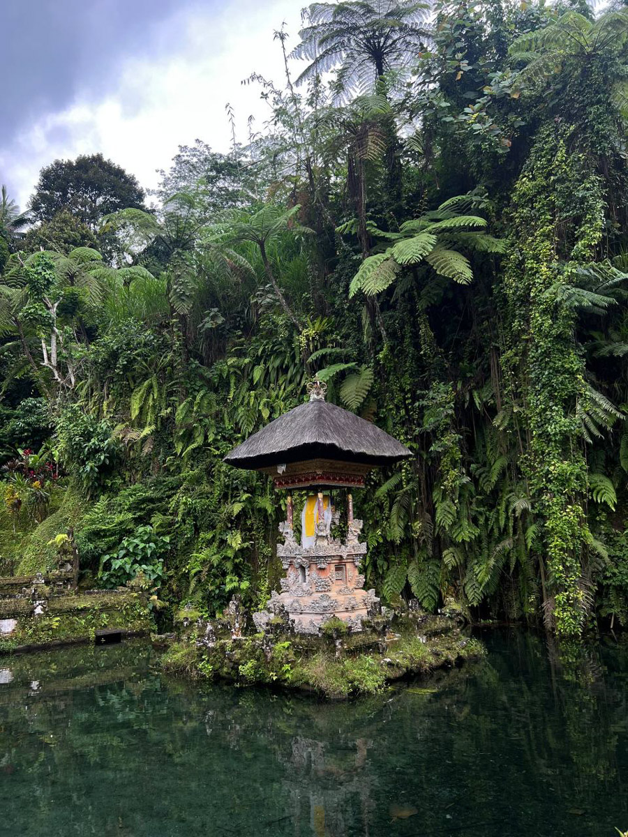 При мысли об экзотическом курорте на ум чаще всего приходят два популярных направления — Гоа и Бали. Сразу представляется райский уголок из одной известной рекламы. Но настолько ли там хорошо, как нам показывают? Специально для «Ключ-Медиа» владимирский видеограф Влада Соболь сравнила обе локации и поведала нам, где же на самом деле лучше.