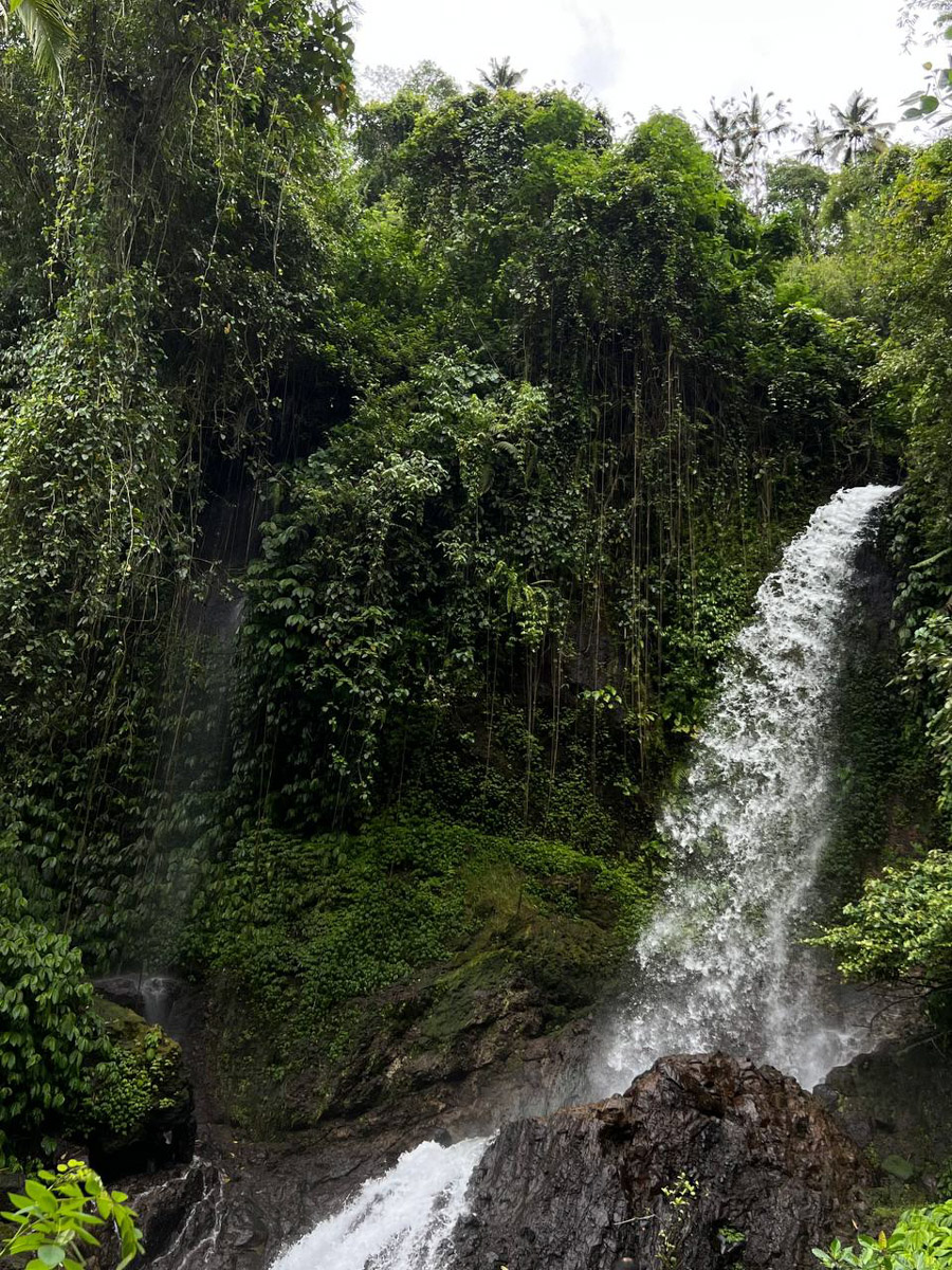 При мысли об экзотическом курорте на ум чаще всего приходят два популярных направления — Гоа и Бали. Сразу представляется райский уголок из одной известной рекламы. Но настолько ли там хорошо, как нам показывают? Специально для «Ключ-Медиа» владимирский видеограф Влада Соболь сравнила обе локации и поведала нам, где же на самом деле лучше.