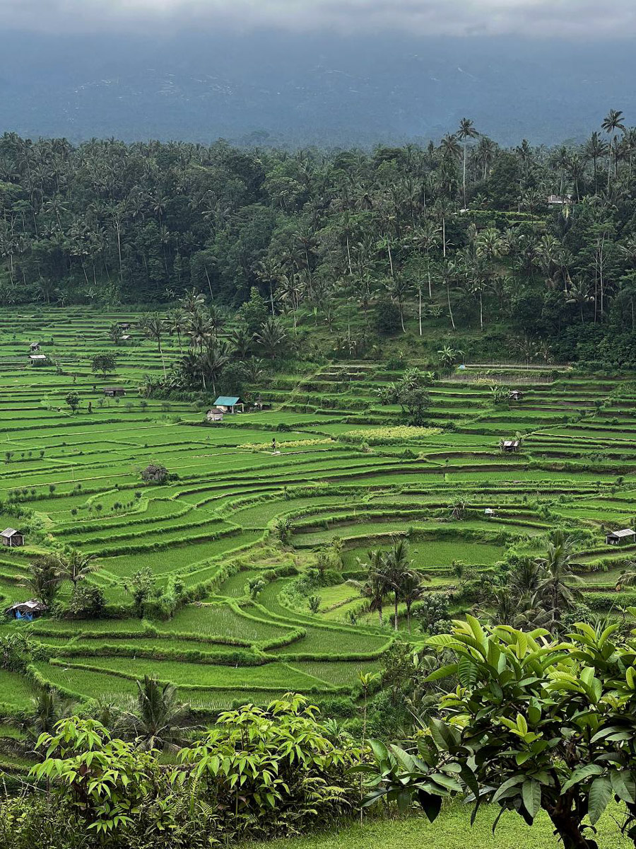 При мысли об экзотическом курорте на ум чаще всего приходят два популярных направления — Гоа и Бали. Сразу представляется райский уголок из одной известной рекламы. Но настолько ли там хорошо, как нам показывают? Специально для «Ключ-Медиа» владимирский видеограф Влада Соболь сравнила обе локации и поведала нам, где же на самом деле лучше.