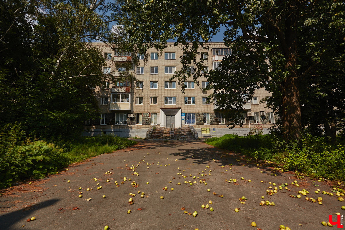 В прошлом во Владимире была группа улиц, в названии которых присутствовало слово «зеленый». Это Большая Зеленая, Малая Зеленая и Зеленая Ильинская улицы. В 1927 году Большая Зеленая стала частью улицы Сакко и Ванцетти, а Малая Зеленая потеряла свою первую часть. В 1935-м Зеленая Ильинская также получила новое название — улица Чехова. «Ключ-Медиа» решил прогуляться по бывшим Зеленым улицам и полюбоваться их достопримечательностями.