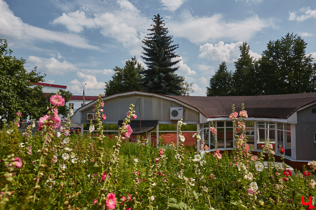 В прошлом во Владимире была группа улиц, в названии которых присутствовало слово «зеленый». Это Большая Зеленая, Малая Зеленая и Зеленая Ильинская улицы. В 1927 году Большая Зеленая стала частью улицы Сакко и Ванцетти, а Малая Зеленая потеряла свою первую часть. В 1935-м Зеленая Ильинская также получила новое название — улица Чехова. «Ключ-Медиа» решил прогуляться по бывшим Зеленым улицам и полюбоваться их достопримечательностями.