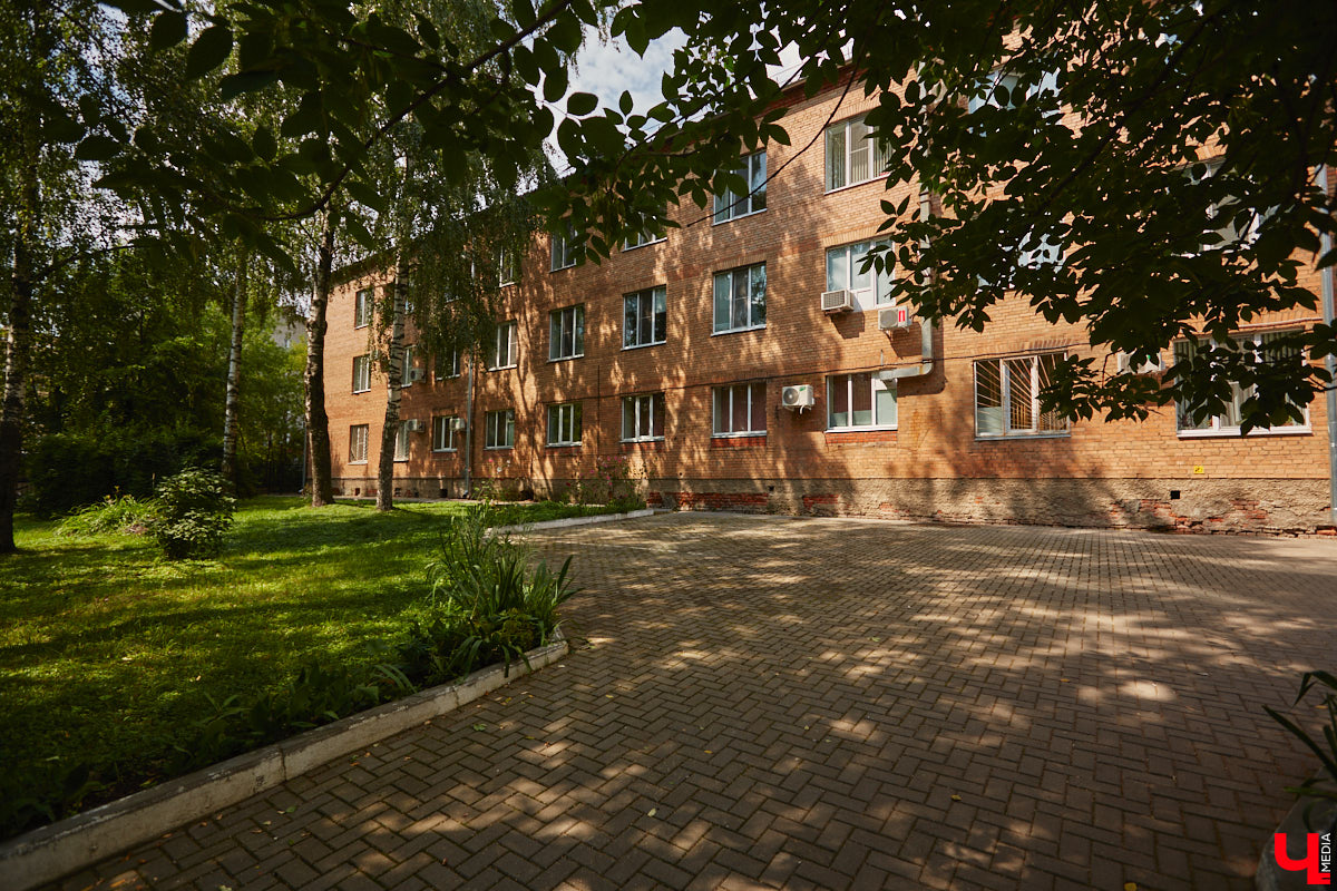 В прошлом во Владимире была группа улиц, в названии которых присутствовало слово «зеленый». Это Большая Зеленая, Малая Зеленая и Зеленая Ильинская улицы. В 1927 году Большая Зеленая стала частью улицы Сакко и Ванцетти, а Малая Зеленая потеряла свою первую часть. В 1935-м Зеленая Ильинская также получила новое название — улица Чехова. «Ключ-Медиа» решил прогуляться по бывшим Зеленым улицам и полюбоваться их достопримечательностями.