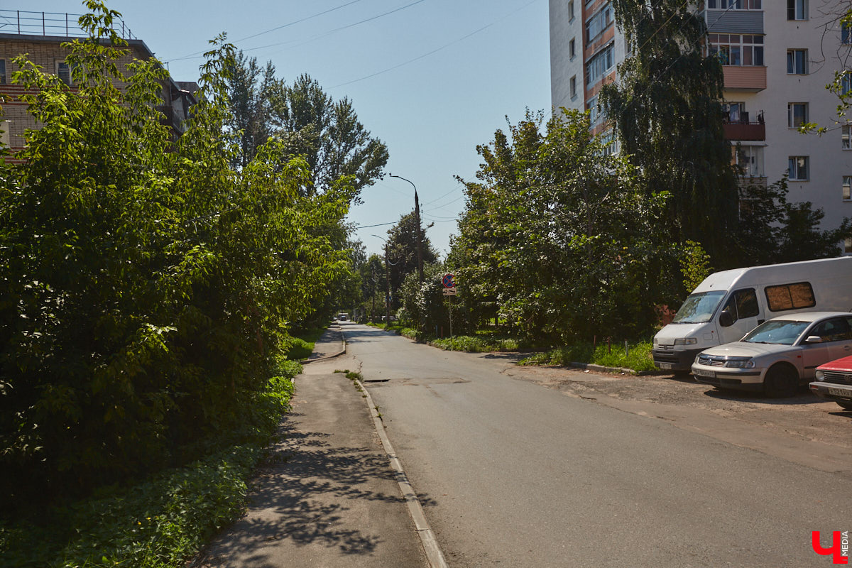 В прошлом во Владимире была группа улиц, в названии которых присутствовало слово «зеленый». Это Большая Зеленая, Малая Зеленая и Зеленая Ильинская улицы. В 1927 году Большая Зеленая стала частью улицы Сакко и Ванцетти, а Малая Зеленая потеряла свою первую часть. В 1935-м Зеленая Ильинская также получила новое название — улица Чехова. «Ключ-Медиа» решил прогуляться по бывшим Зеленым улицам и полюбоваться их достопримечательностями.