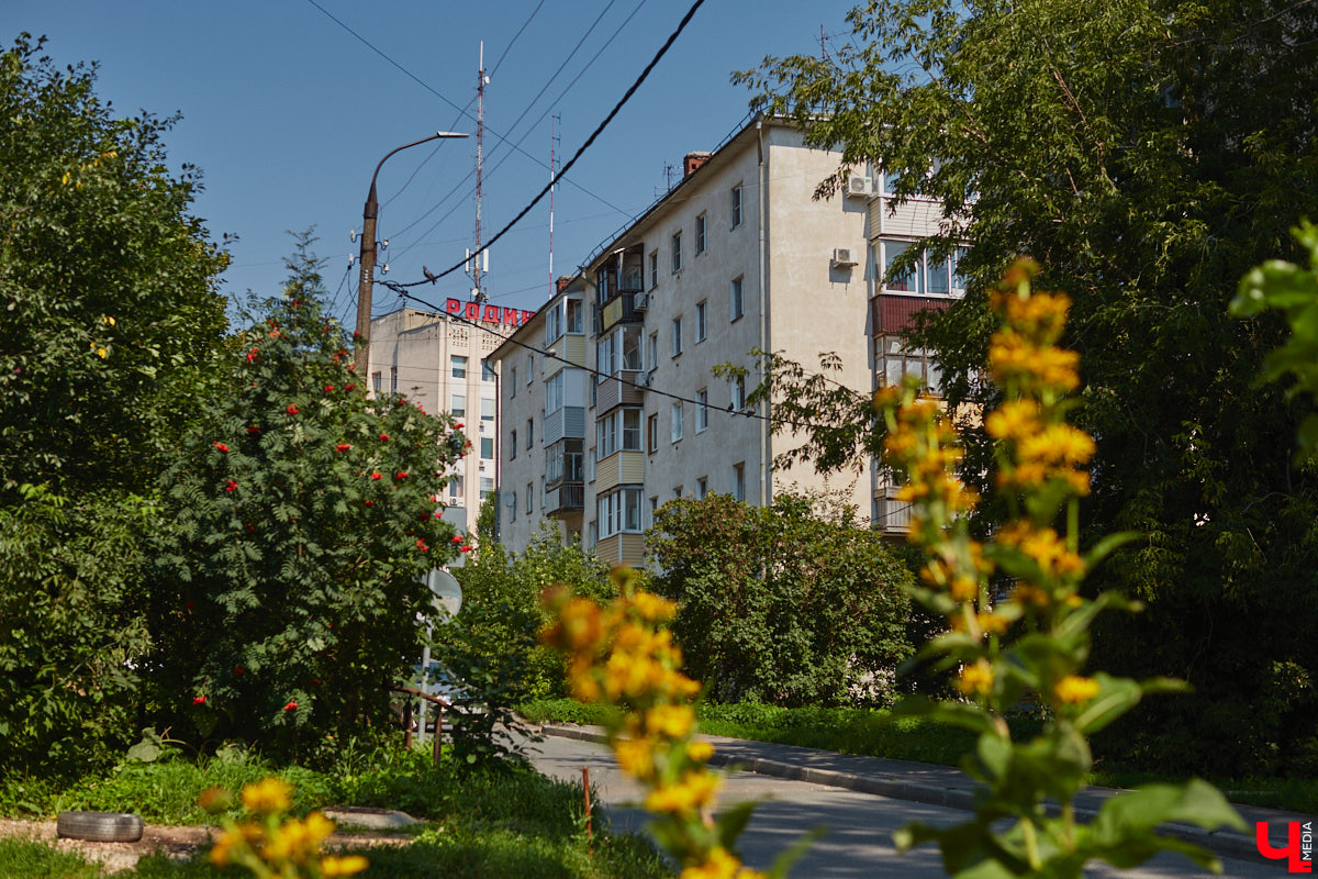 В прошлом во Владимире была группа улиц, в названии которых присутствовало слово «зеленый». Это Большая Зеленая, Малая Зеленая и Зеленая Ильинская улицы. В 1927 году Большая Зеленая стала частью улицы Сакко и Ванцетти, а Малая Зеленая потеряла свою первую часть. В 1935-м Зеленая Ильинская также получила новое название — улица Чехова. «Ключ-Медиа» решил прогуляться по бывшим Зеленым улицам и полюбоваться их достопримечательностями.