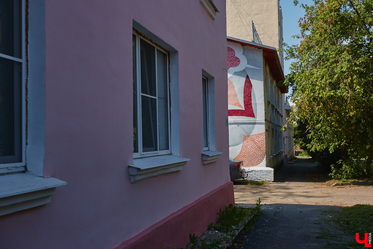 Владимир расцвел новыми красками. Творческая волна накрыла здания, заборы, технические объекты, превращая их в полотна для уличной живописи. Как вам идея отправиться в фототур по пяти самым масштабным паблик-артам города, которые уже появились в рамках фестиваля «Загфест33»?