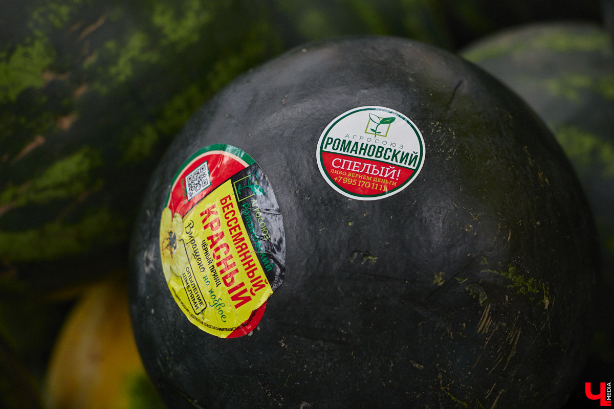 А почему бы сегодня нам не приготовить пылающий фруктовый пирог? Да еще и самый быстрый. К тому же из рисовой муки. Главным ингредиентом летнего блюда станут сочные и яркие абрикосы! Эксперимент проведем под присмотром главного кулинарного эксперта.