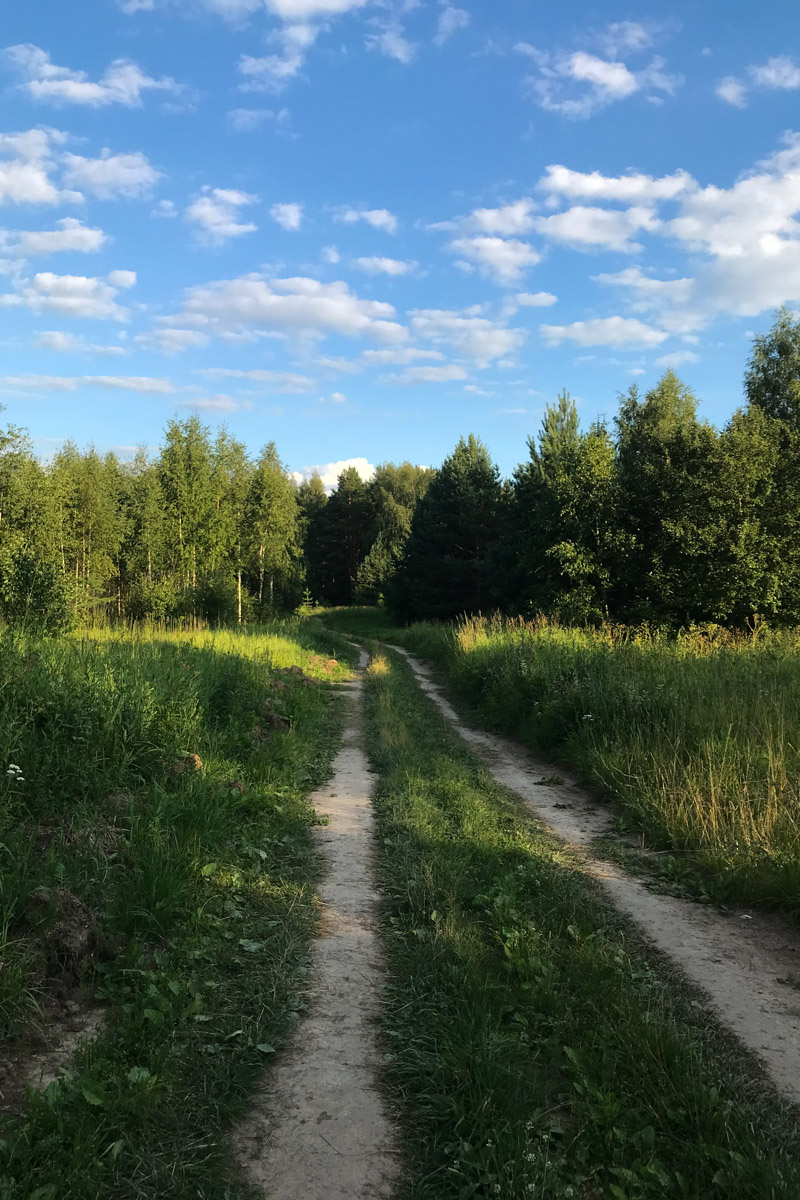 Пять женщин уехали из Москвы, чтобы на лето поселиться в деревне Кольчугинского района с населением, по данным 2021 года, всего шесть человек. Звучит как начало интригующего рассказа с неожиданным концом. Так и есть! Необычный эксперимент столичных барышень превратился в проект выживания и познания самих себя под названием «Непростодом»