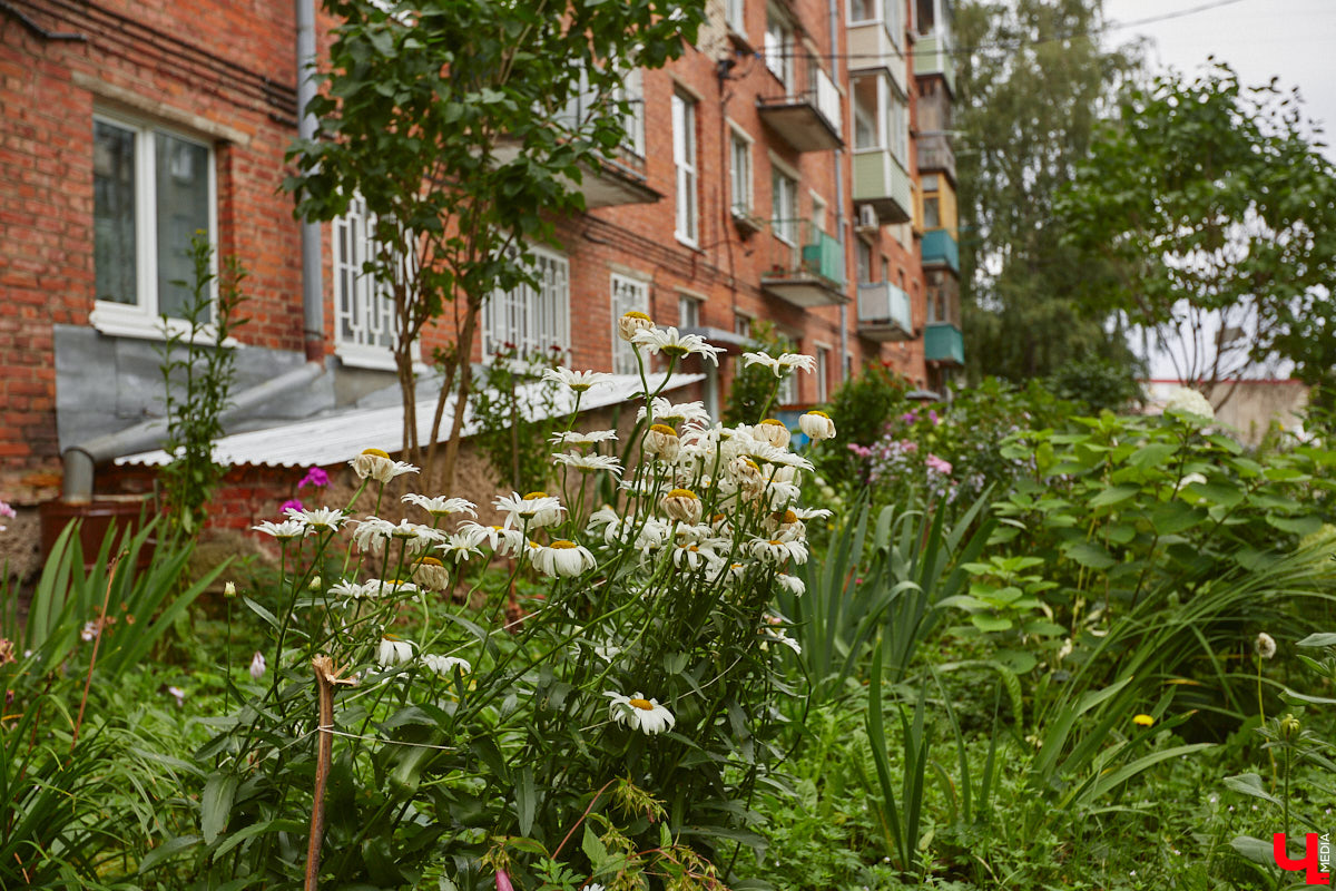 Владимирцы регулярно приезжают на Батурина: одни на рынок за продуктами, другие в Центральный парк погулять. Теперь еще и новый большой ТЦ появился. Но если свернуть от него вправо, то можно попасть в настоящий спальный район с массой интересных фишек. «Ключ-Медиа» узнал о них от жительницы улицы Михайловской, с которой совершил познавательный променад