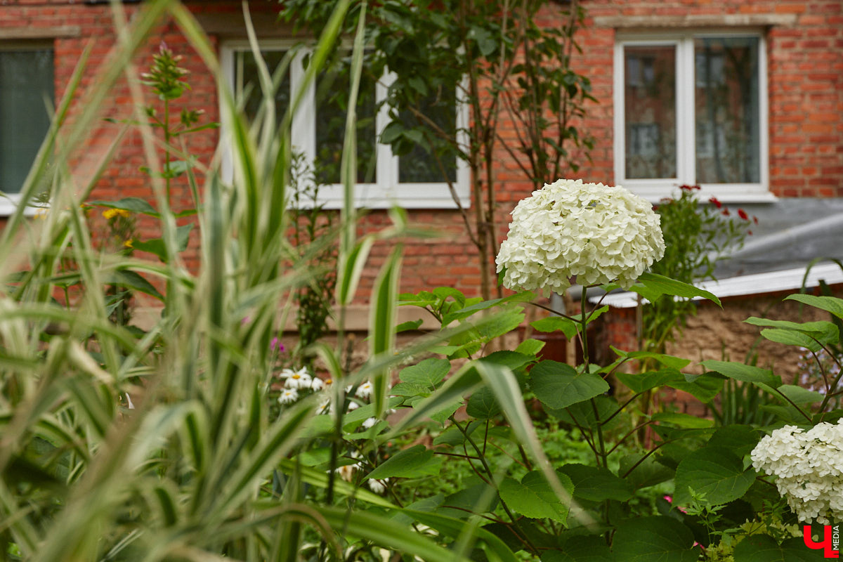 Владимирцы регулярно приезжают на Батурина: одни на рынок за продуктами, другие в Центральный парк погулять. Теперь еще и новый большой ТЦ появился. Но если свернуть от него вправо, то можно попасть в настоящий спальный район с массой интересных фишек. «Ключ-Медиа» узнал о них от жительницы улицы Михайловской, с которой совершил познавательный променад