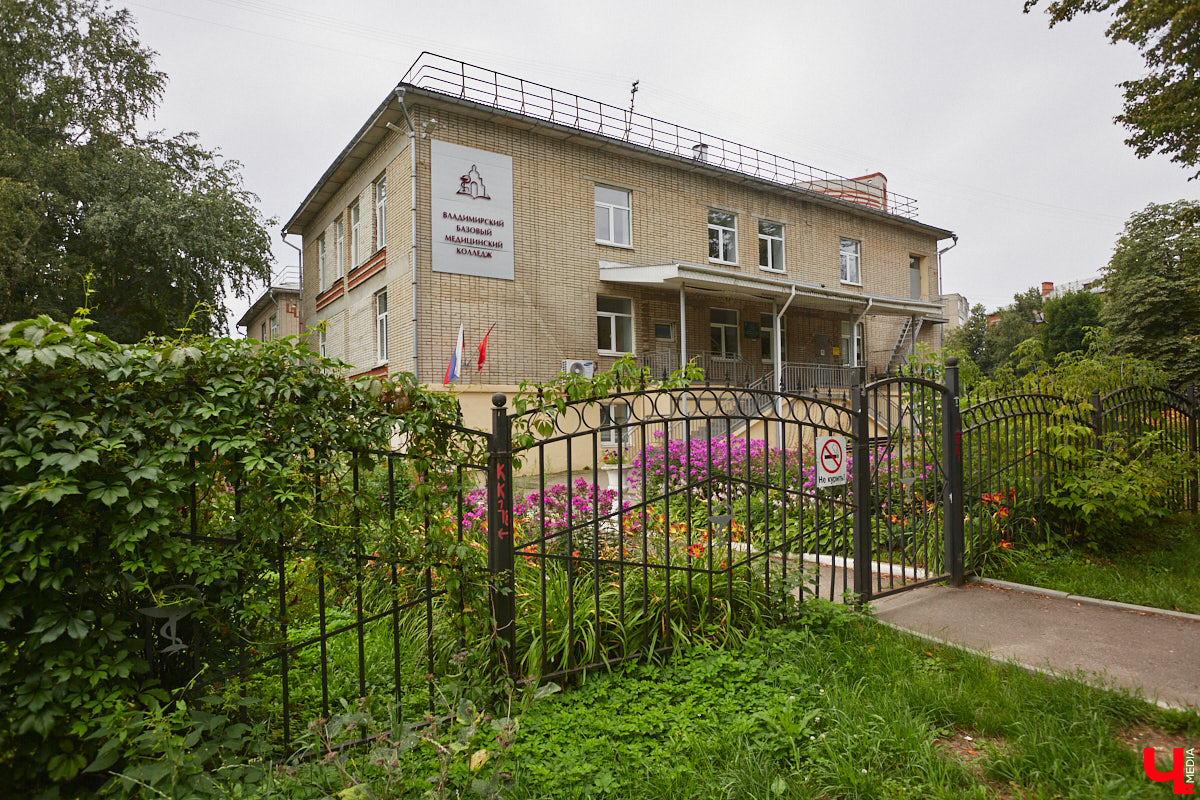 Владимирцы регулярно приезжают на Батурина: одни на рынок за продуктами, другие в Центральный парк погулять. Теперь еще и новый большой ТЦ появился. Но если свернуть от него вправо, то можно попасть в настоящий спальный район с массой интересных фишек. «Ключ-Медиа» узнал о них от жительницы улицы Михайловской, с которой совершил познавательный променад