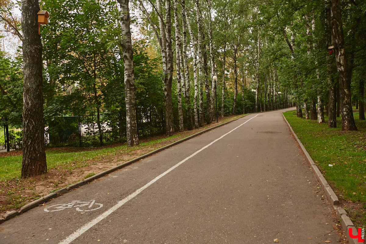 Владимирцы регулярно приезжают на Батурина: одни на рынок за продуктами, другие в Центральный парк погулять. Теперь еще и новый большой ТЦ появился. Но если свернуть от него вправо, то можно попасть в настоящий спальный район с массой интересных фишек. «Ключ-Медиа» узнал о них от жительницы улицы Михайловской, с которой совершил познавательный променад
