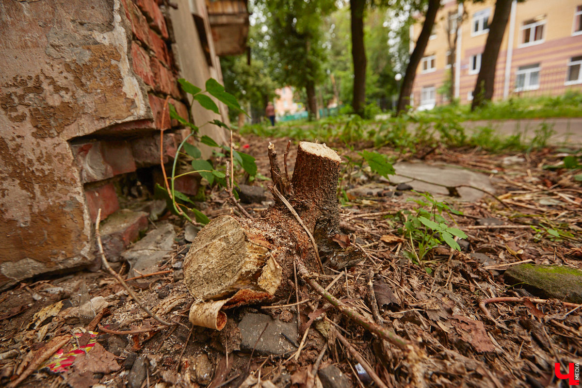 Владимирцы регулярно приезжают на Батурина: одни на рынок за продуктами, другие в Центральный парк погулять. Теперь еще и новый большой ТЦ появился. Но если свернуть от него вправо, то можно попасть в настоящий спальный район с массой интересных фишек. «Ключ-Медиа» узнал о них от жительницы улицы Михайловской, с которой совершил познавательный променад