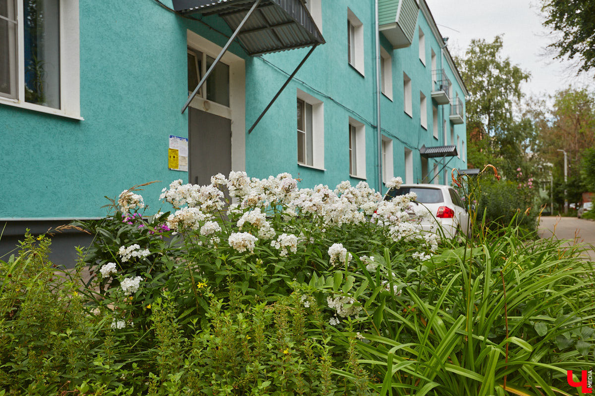 Владимирцы регулярно приезжают на Батурина: одни на рынок за продуктами, другие в Центральный парк погулять. Теперь еще и новый большой ТЦ появился. Но если свернуть от него вправо, то можно попасть в настоящий спальный район с массой интересных фишек. «Ключ-Медиа» узнал о них от жительницы улицы Михайловской, с которой совершил познавательный променад