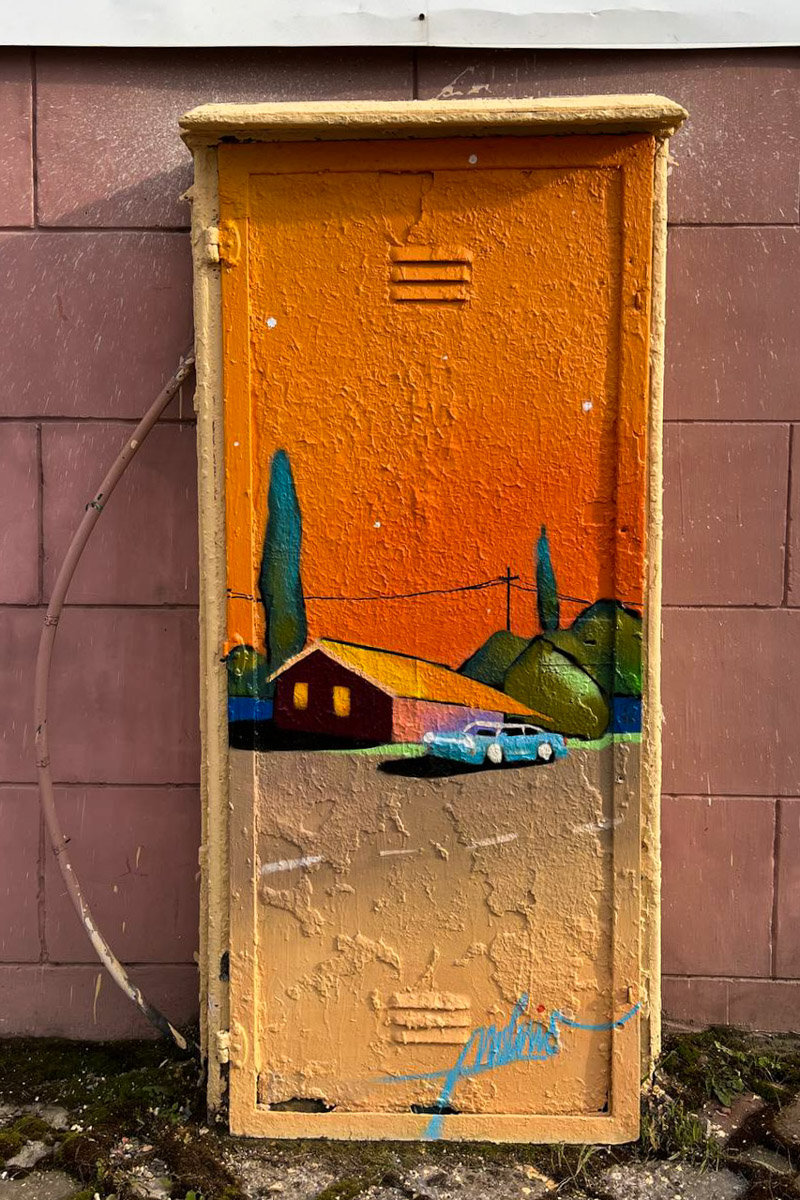 Серые пятна в виде коммуникационных шкафов не добавляют городу лоска. Но художники нашли решение. Невзрачный фасад стал для них холстом. В этом году благодаря фестивалю «Загфест33» Владимир пополнился яркими акцентами, а на прямоугольных корпусах появились картины. Какие? Смотрите в нашем фотообзоре