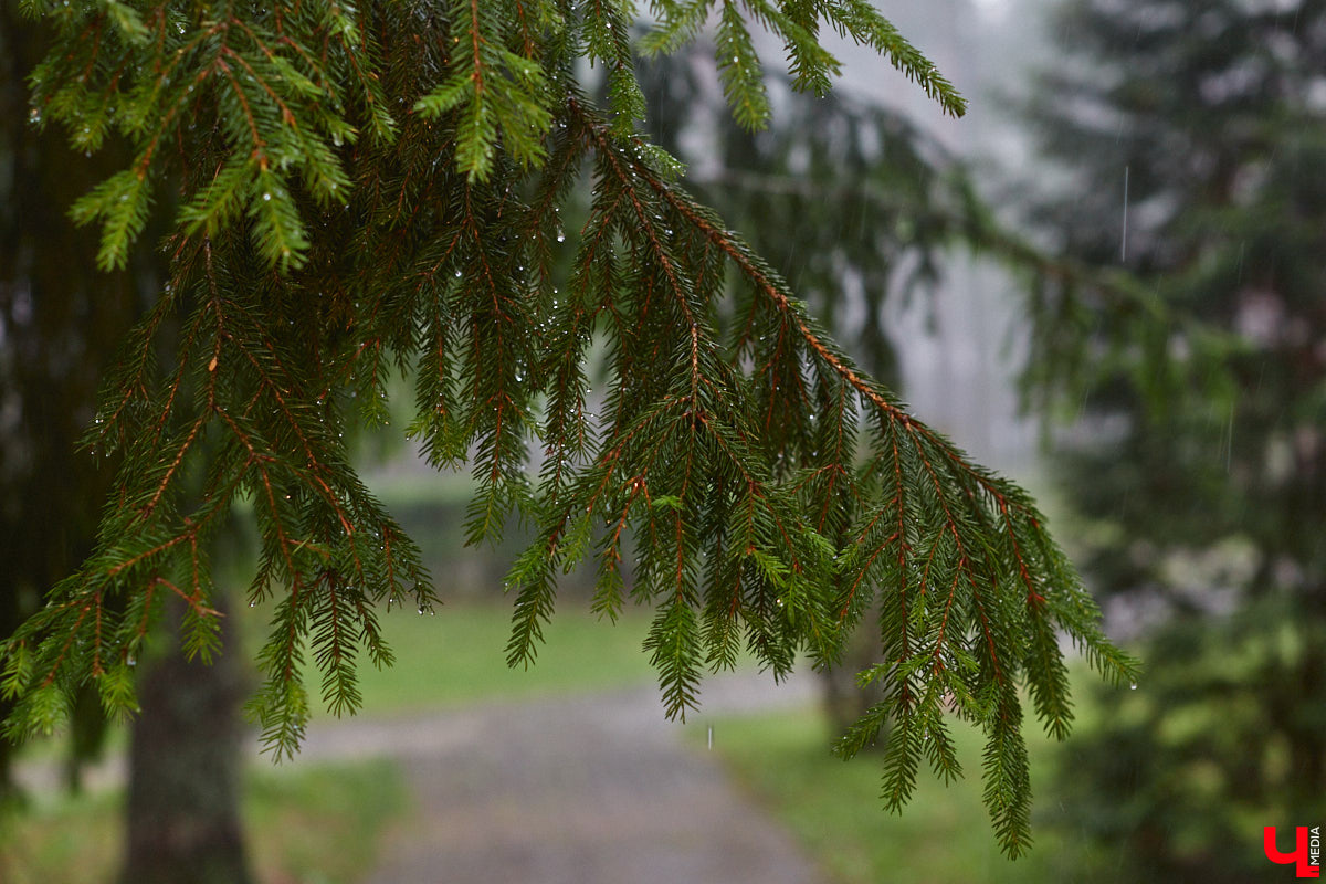 Август, вернись, я все прощу! Так и хочется закричать это вслед уходящему сезону. Месяц смилостивился и подарил нам несколько жарких денечков, но осень решила вступить в свои права раньше положенного срока. Что же прогнозируют синоптики на ближайшие будни и последние выходные и так не слишком удачного лета?
