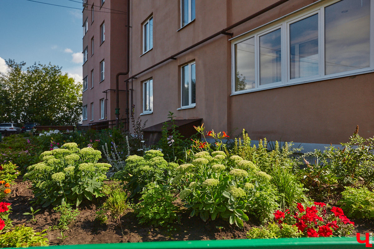 Во Владимире снова выбрали образцовые многоэтажки. Чистые территории, ровный асфальт, красивый дизайн — мимо них многие проходят со вздохом зависти. Как же выглядят лучшие дома областной столицы — 2023? Показываем в нашем фотообзоре.