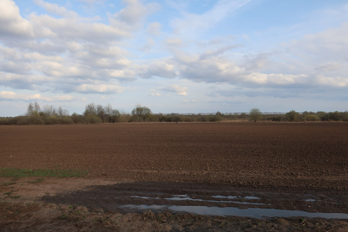 На раскопках в Суздале археологи нашли уникальные артефакты. Среди предметов, которые вызывают повышенный интерес, печать Юрия Долгорукого, торговые пломбы, женские украшения и боевой топор. Часть находок в дальнейшем можно будет увидеть в Государственном историческом музее.