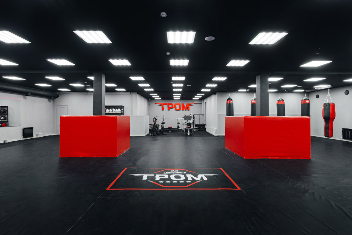 Во Владимире появилось еще одно место, где ребенок может направить свою энергию в нужное русло. 19 августа в Ленинском районе состоялось громкое открытие нового клуба единоборств, на которое заглянул «Ключ-Медиа». Площадка а-ля октагон порадовала стильным и продуманным дизайном для занятий сразу по девяти спортивным направлениям.