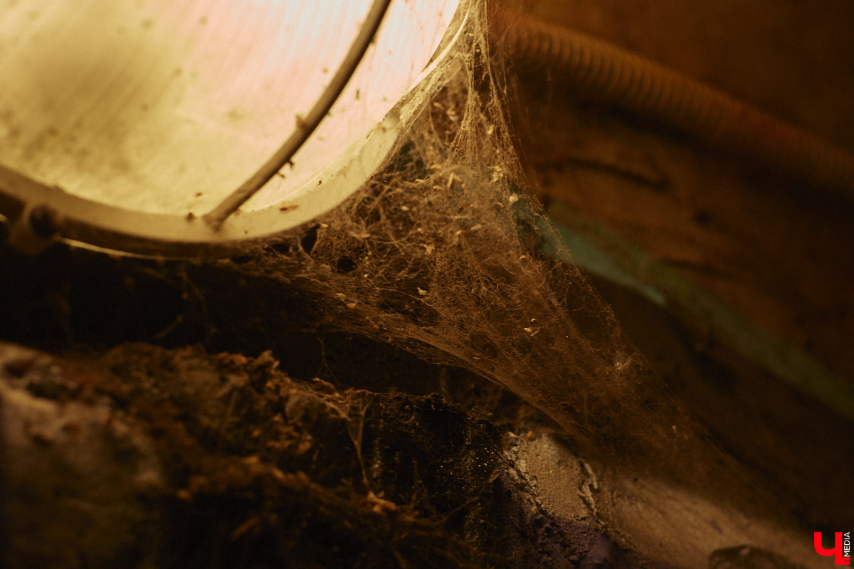 Вы часто пользуетесь подземными пешеходными переходами? В областном центре таких всего три, но назвать их образцово-показательными, к сожалению, нельзя. «Ключ-Медиа» спустился в тоннели под проезжей частью, чтобы показать, почему.