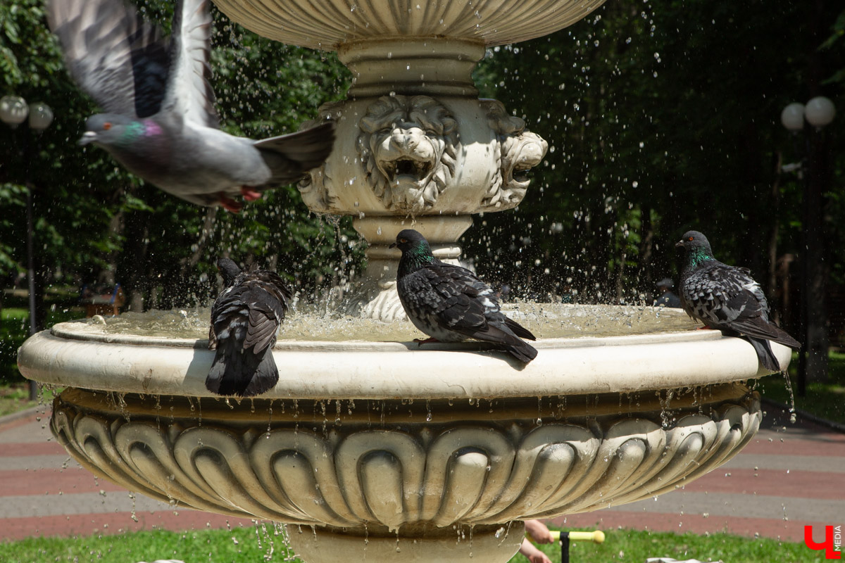 Вы уже настроились на осень и приготовились перелистнуть календарь на 3 сентября? Погодите, погода требует продолжения банкета. Август, который еще вчера планировал раньше времени уступить место своему соседу, передумал. Прогноз на ближайшие недели обещает много сюрпризов, причем приятных!