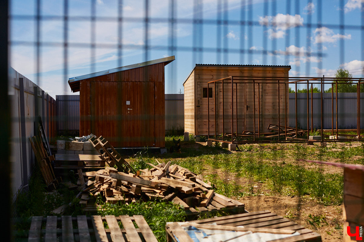 Те, у кого есть кошка или собака, знают, как бывает сложно с питомцем. А представьте сразу несколько десятков или сотен хвостиков, за которых нужно нести ответственность? Однако трудностями с питанием и выгулом эта деятельность не ограничивается. Во Владимирской области приютам приходится сталкиваться с куда более суровыми реалиями…