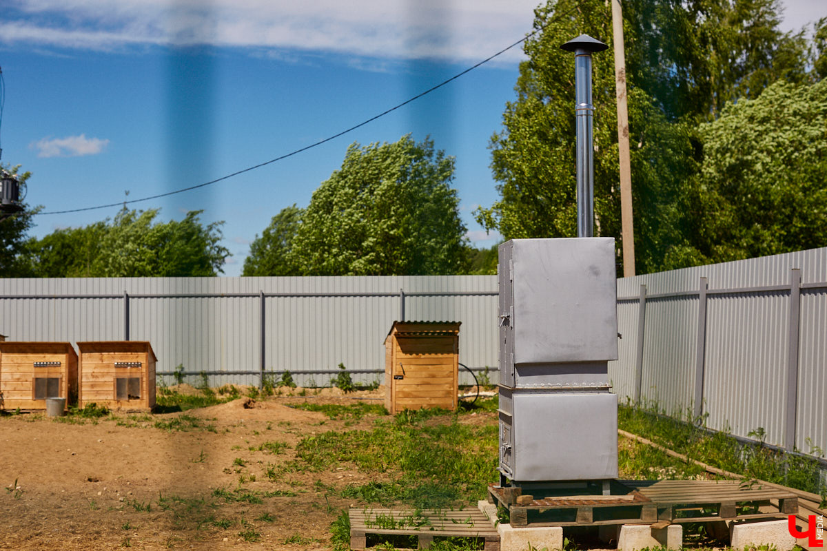 Те, у кого есть кошка или собака, знают, как бывает сложно с питомцем. А представьте сразу несколько десятков или сотен хвостиков, за которых нужно нести ответственность? Однако трудностями с питанием и выгулом эта деятельность не ограничивается. Во Владимирской области приютам приходится сталкиваться с куда более суровыми реалиями…