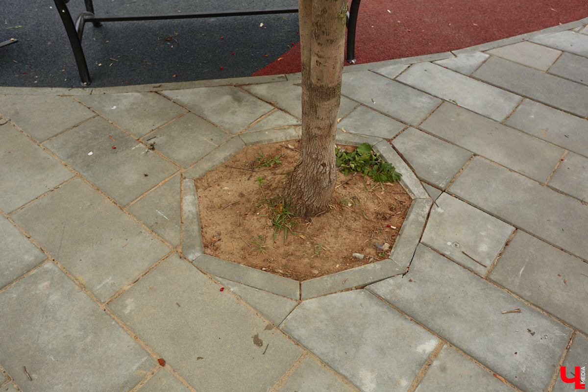 Благоустройство еще одного общественного пространства Владимира завершено. Торжественное открытие Кутузовского сквера состоится в День города, 2 сентября. «Ключ-Медиа» в компании урбаниста Артема Чернея решил заранее посетить новую локацию и изучить все ее достоинства и недостатки.