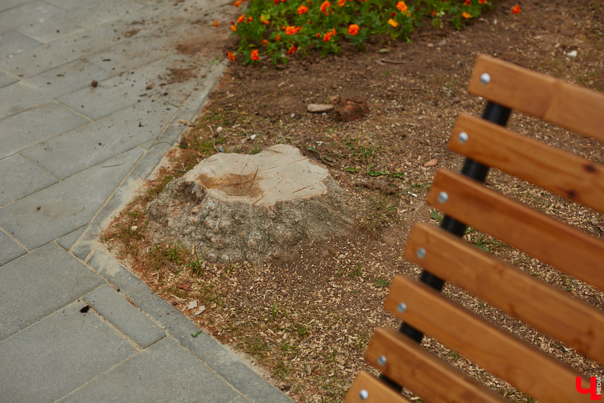 Благоустройство еще одного общественного пространства Владимира завершено. Торжественное открытие Кутузовского сквера состоится в День города, 2 сентября. «Ключ-Медиа» в компании урбаниста Артема Чернея решил заранее посетить новую локацию и изучить все ее достоинства и недостатки.