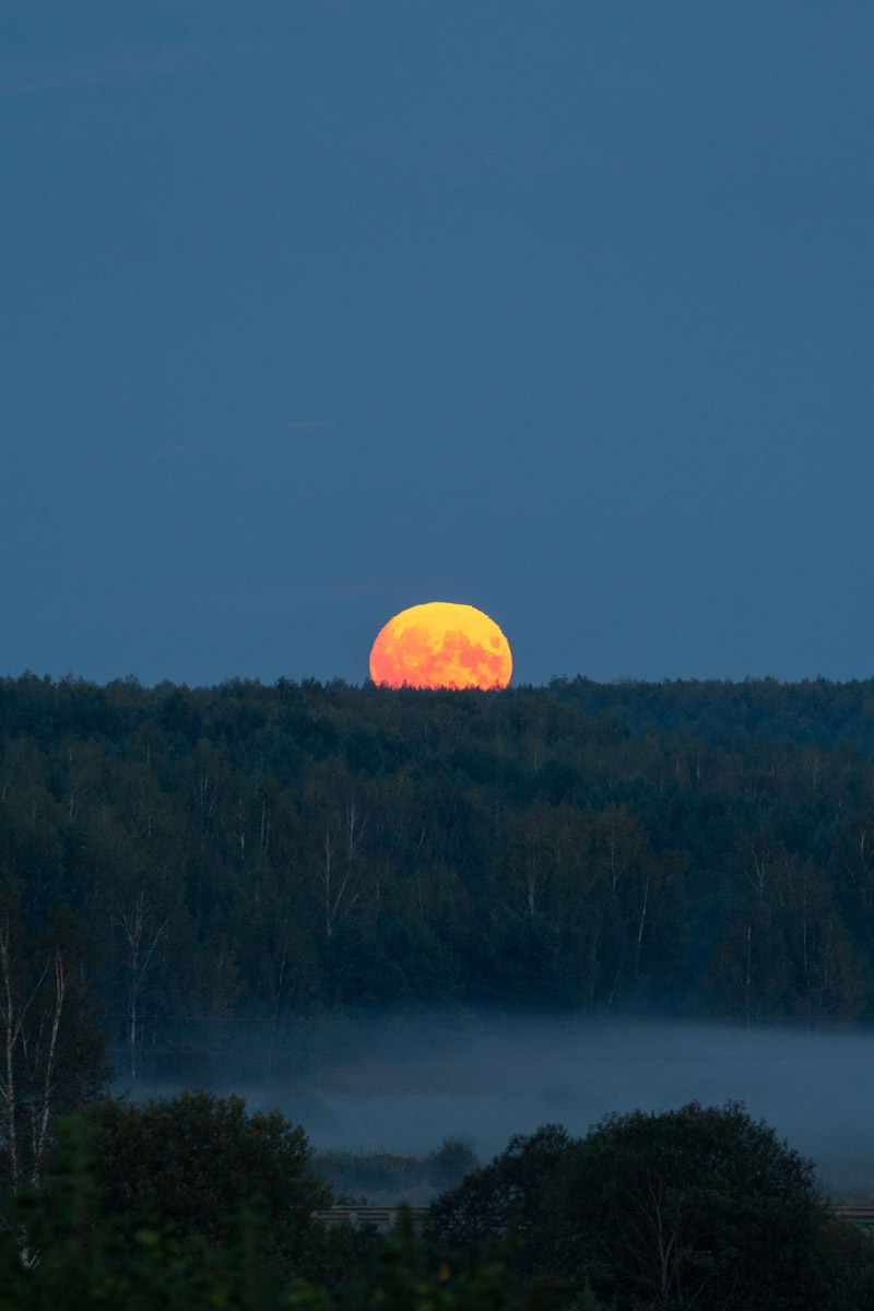Лето завершилось уникальным событием под названием «голубое суперлуние». Если ваш взор не был устремлен в небо, то хотя бы посмотрите фотографии тех, кто ночью не спал, а наблюдал за редким астрономическим явлением.